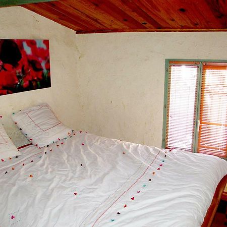 Appartement De Charme 泰克河畔阿尔莱 外观 照片